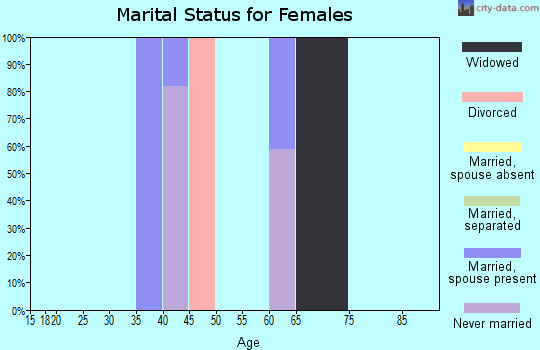 Zip code 26343 marital status for females