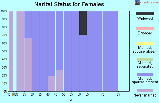 Zip code 26374 marital status for females