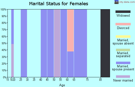 Zip code 26376 marital status for females