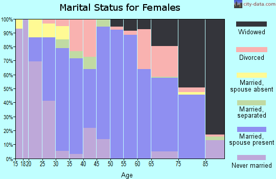 Zip code 26378 marital status for females