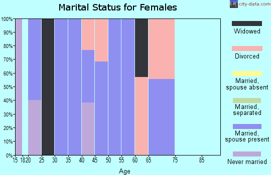 Zip code 26405 marital status for females