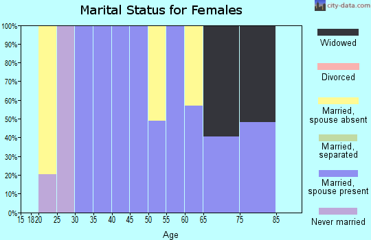 Zip code 26520 marital status for females