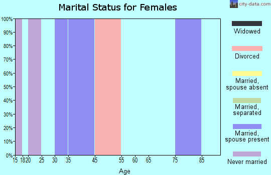 Zip code 26531 marital status for females