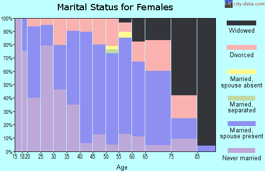Zip code 26537 marital status for females