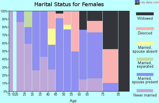 Zip code 26541 marital status for females