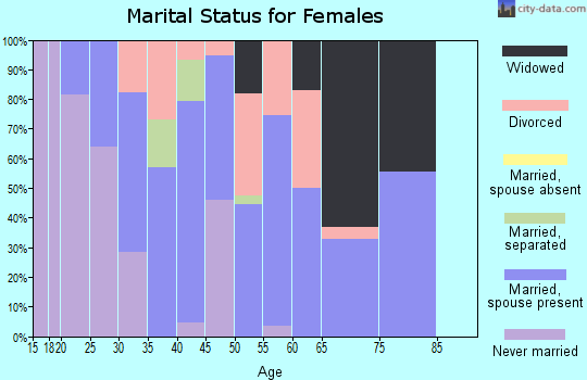Zip code 26542 marital status for females