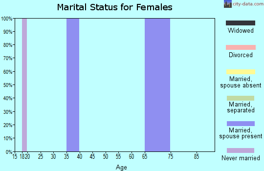 Zip code 26543 marital status for females