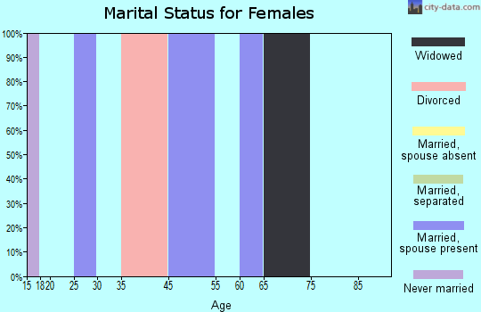 Zip code 26544 marital status for females