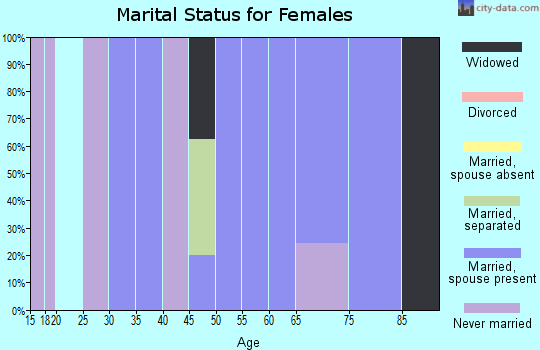 Zip code 26562 marital status for females