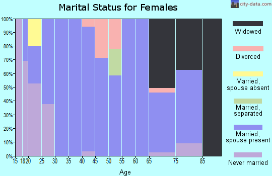 Zip code 26571 marital status for females