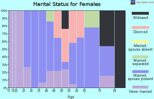 Zip code 26574 marital status for females