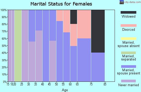 Zip code 26581 marital status for females