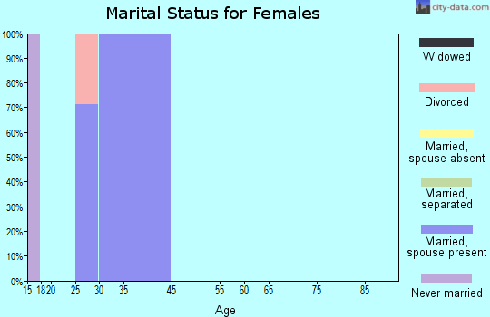 Zip code 26586 marital status for females