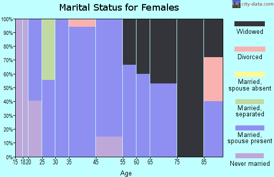 Zip code 26589 marital status for females