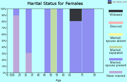 Zip code 26590 marital status for females