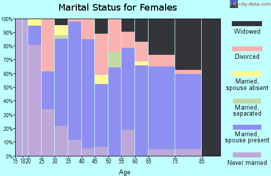 Zip code 26601 marital status for females