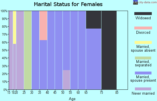 Zip code 26610 marital status for females
