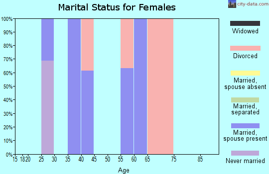 Zip code 26619 marital status for females