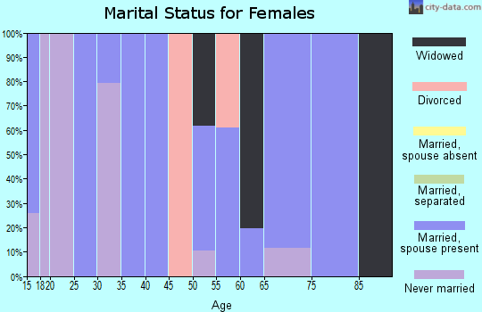 Zip code 26623 marital status for females