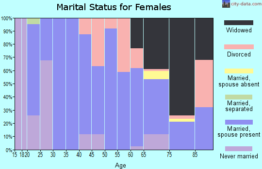Zip code 26624 marital status for females