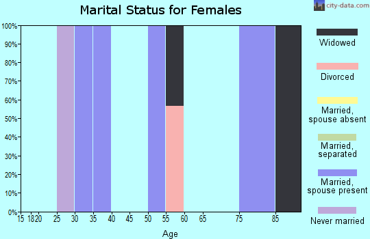 Zip code 26627 marital status for females