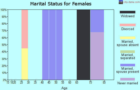 Zip code 26631 marital status for females