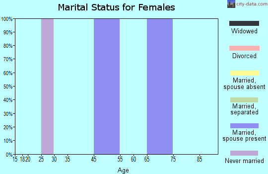 Zip code 26634 marital status for females
