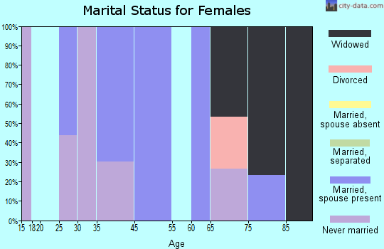 Zip code 26639 marital status for females