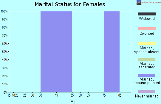 Zip code 26641 marital status for females