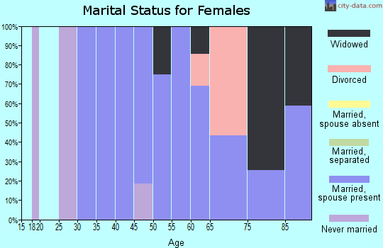 Zip code 26705 marital status for females