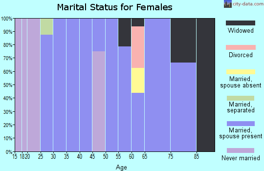 Zip code 26707 marital status for females