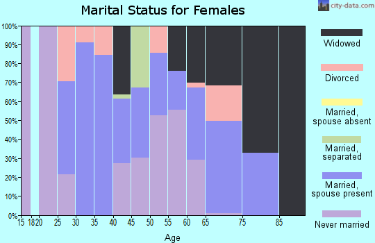 Zip code 26711 marital status for females