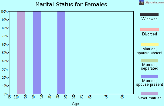 Zip code 26720 marital status for females