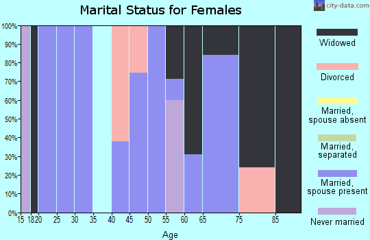 Zip code 26739 marital status for females