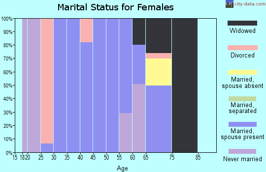 Zip code 26743 marital status for females