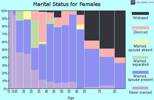 Zip code 27052 marital status for females