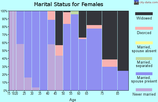 Zip code 28020 marital status for females