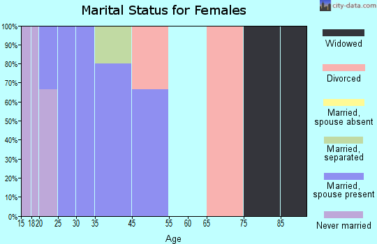 Zip code 28038 marital status for females