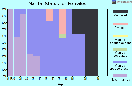 Zip code 28072 marital status for females
