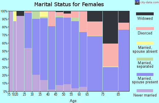 Zip code 28075 marital status for females