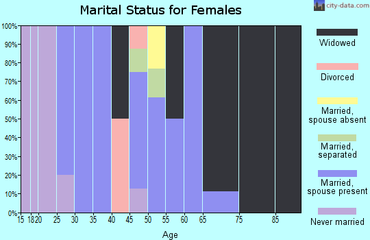 Zip code 28077 marital status for females