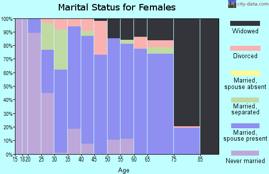 Zip code 28080 marital status for females