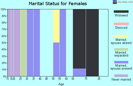 Zip code 28089 marital status for females