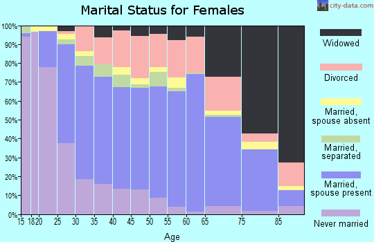 Zip code 28092 marital status for females