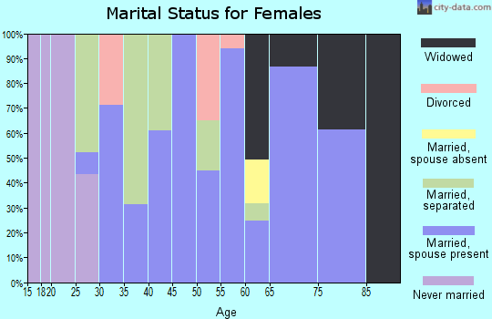Zip code 28101 marital status for females