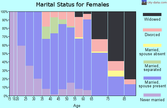 Zip code 28129 marital status for females