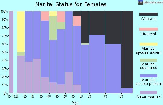 Zip code 28133 marital status for females