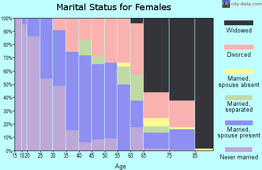 Zip code 28134 marital status for females