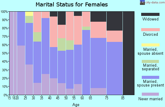 Zip code 28135 marital status for females