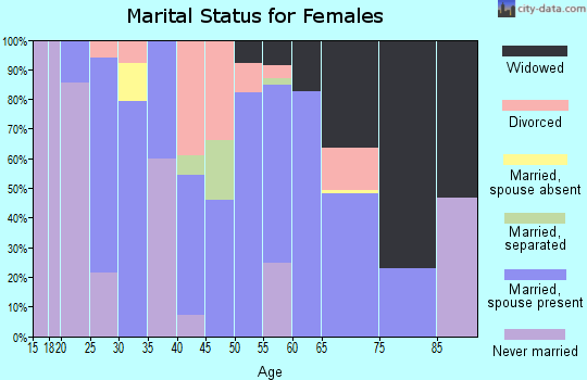 Zip code 28137 marital status for females